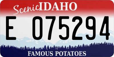 ID license plate E075294