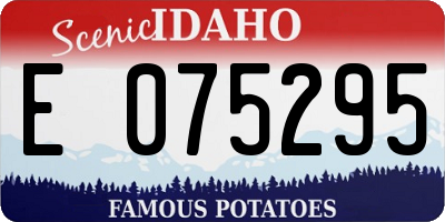 ID license plate E075295