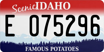 ID license plate E075296