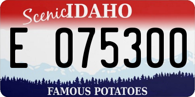 ID license plate E075300