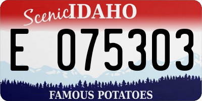 ID license plate E075303