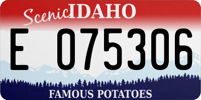 ID license plate E075306