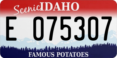 ID license plate E075307