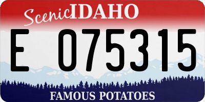 ID license plate E075315