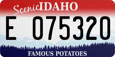 ID license plate E075320