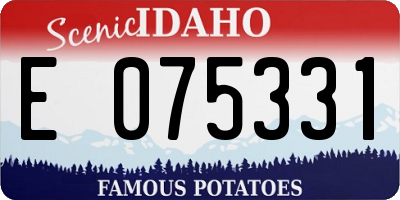 ID license plate E075331