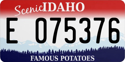ID license plate E075376