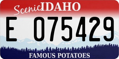 ID license plate E075429