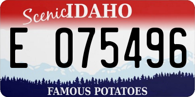 ID license plate E075496