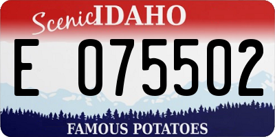 ID license plate E075502