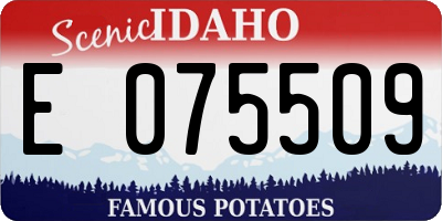 ID license plate E075509