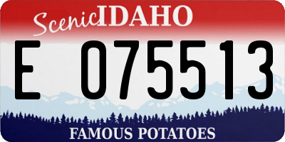 ID license plate E075513