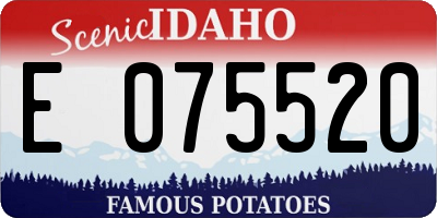 ID license plate E075520