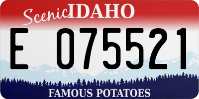 ID license plate E075521