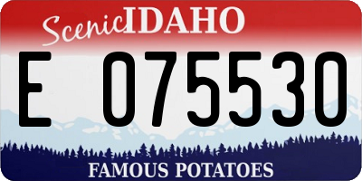 ID license plate E075530