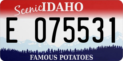 ID license plate E075531