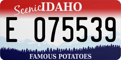 ID license plate E075539