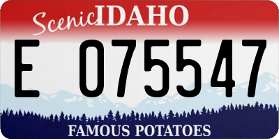 ID license plate E075547
