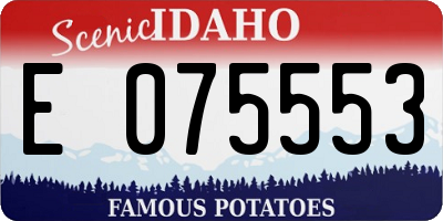 ID license plate E075553