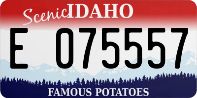 ID license plate E075557