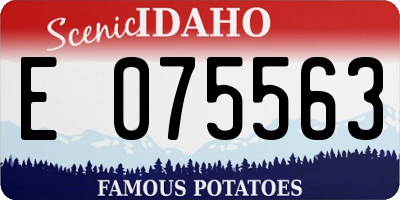ID license plate E075563