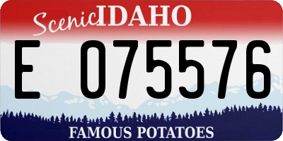 ID license plate E075576