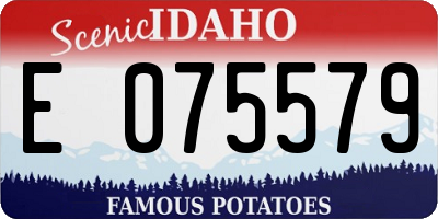 ID license plate E075579