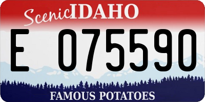 ID license plate E075590