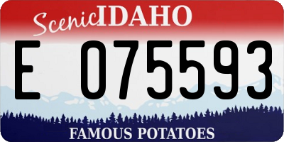 ID license plate E075593