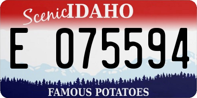 ID license plate E075594