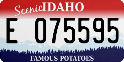 ID license plate E075595