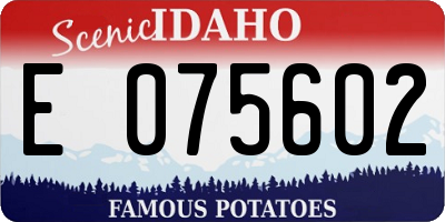 ID license plate E075602