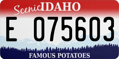 ID license plate E075603