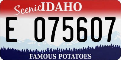 ID license plate E075607
