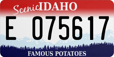 ID license plate E075617