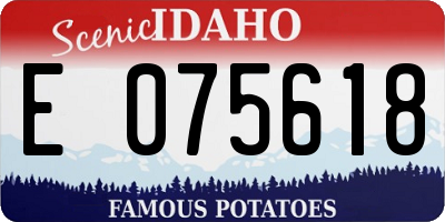 ID license plate E075618