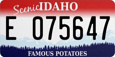 ID license plate E075647