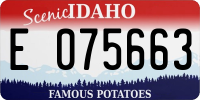 ID license plate E075663