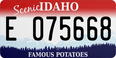 ID license plate E075668