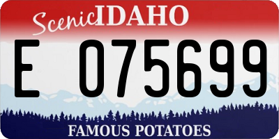 ID license plate E075699