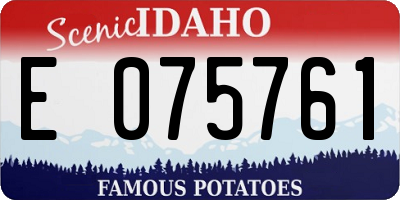 ID license plate E075761