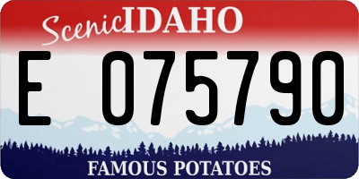 ID license plate E075790