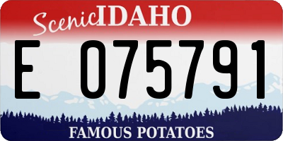 ID license plate E075791