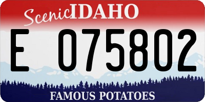 ID license plate E075802