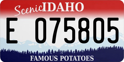 ID license plate E075805