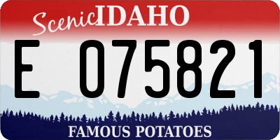 ID license plate E075821