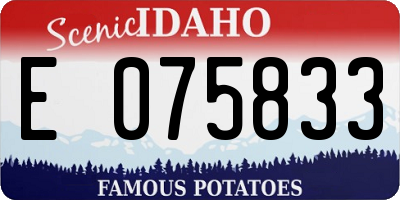 ID license plate E075833