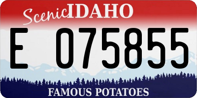 ID license plate E075855