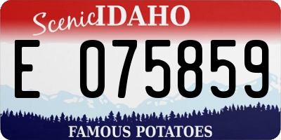 ID license plate E075859