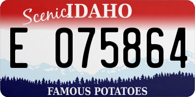 ID license plate E075864